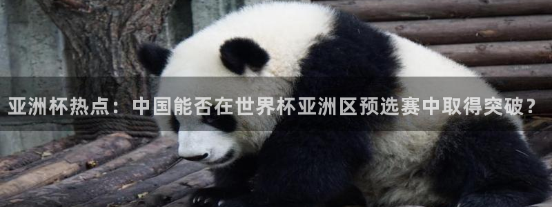 女足世界杯直播在线观看免费高清:亚洲杯热点:中国能否在世界杯亚洲区预选赛中取得突破?