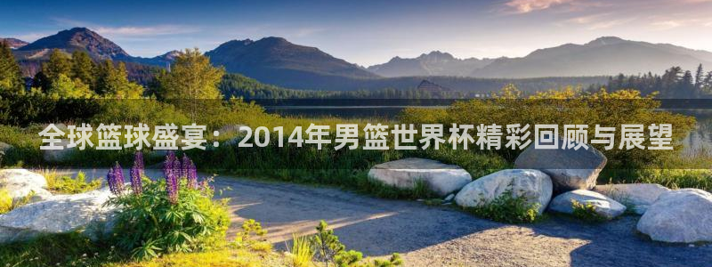 2026世界杯亚洲区预选赛赛程:全球篮球盛宴:2014年男篮世界杯精彩回顾与展望