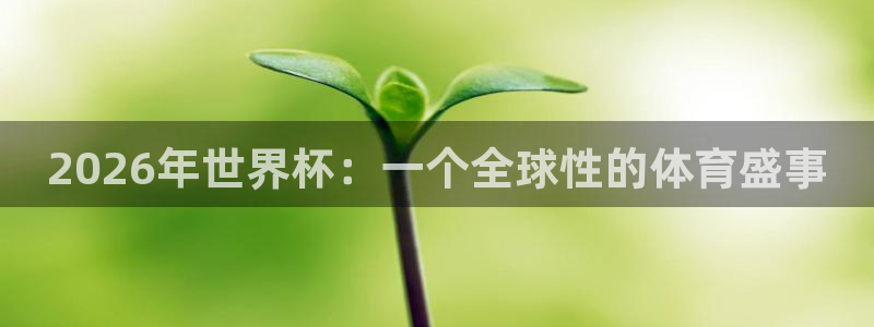 世界杯预选赛赛程表:2026年世界杯:一个全球性的体育盛事
