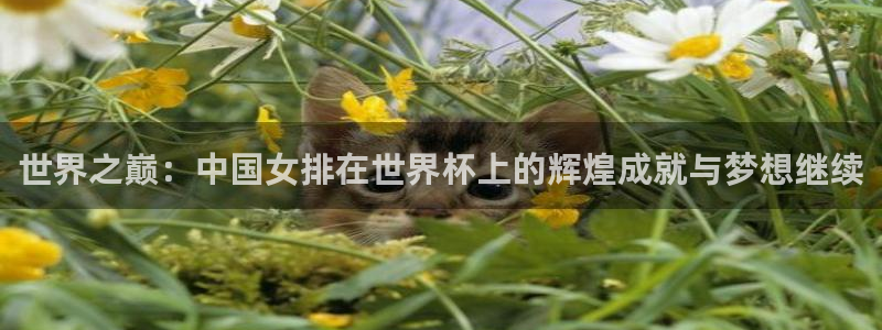 世界杯今年:世界之巅:中国女排在世界杯上的辉煌成就与梦想继续