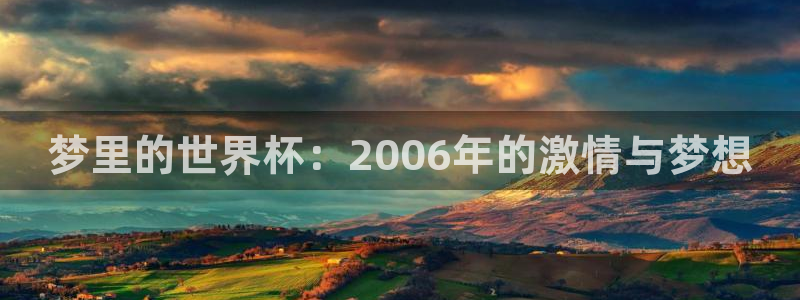 世界杯欧洲区世预赛赛程:梦里的世界杯:2006年的激情与梦想