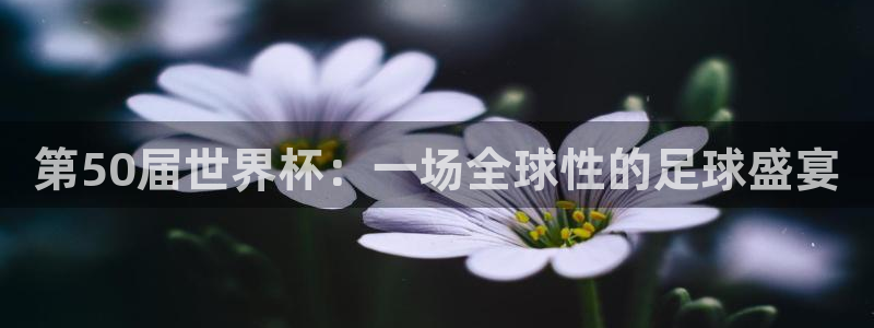 世界杯亚洲区预选赛积分榜:第50届世界杯:一场全球性的足球盛宴