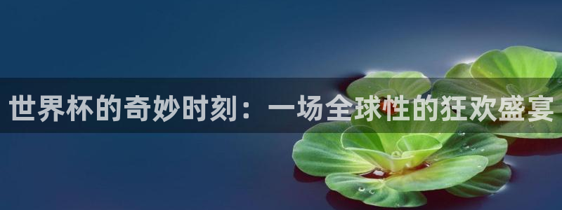 男足世界杯预选赛赛程:世界杯的奇妙时刻:一场全球性的狂欢盛宴