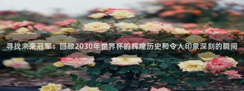 2026世界杯直播:寻找未来冠军:回顾2030年世界杯的辉煌历史和令人印象深刻的瞬间