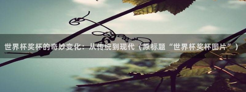 世界杯对阵图2026:世界杯奖杯的奇妙变化:从传统到现代(原标题“世界杯奖杯图片”)